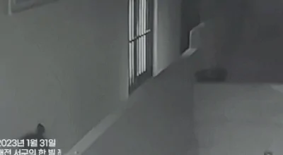  혼자 있는데 원룸 창문 '스르륵'…CCTV 찍힌 男