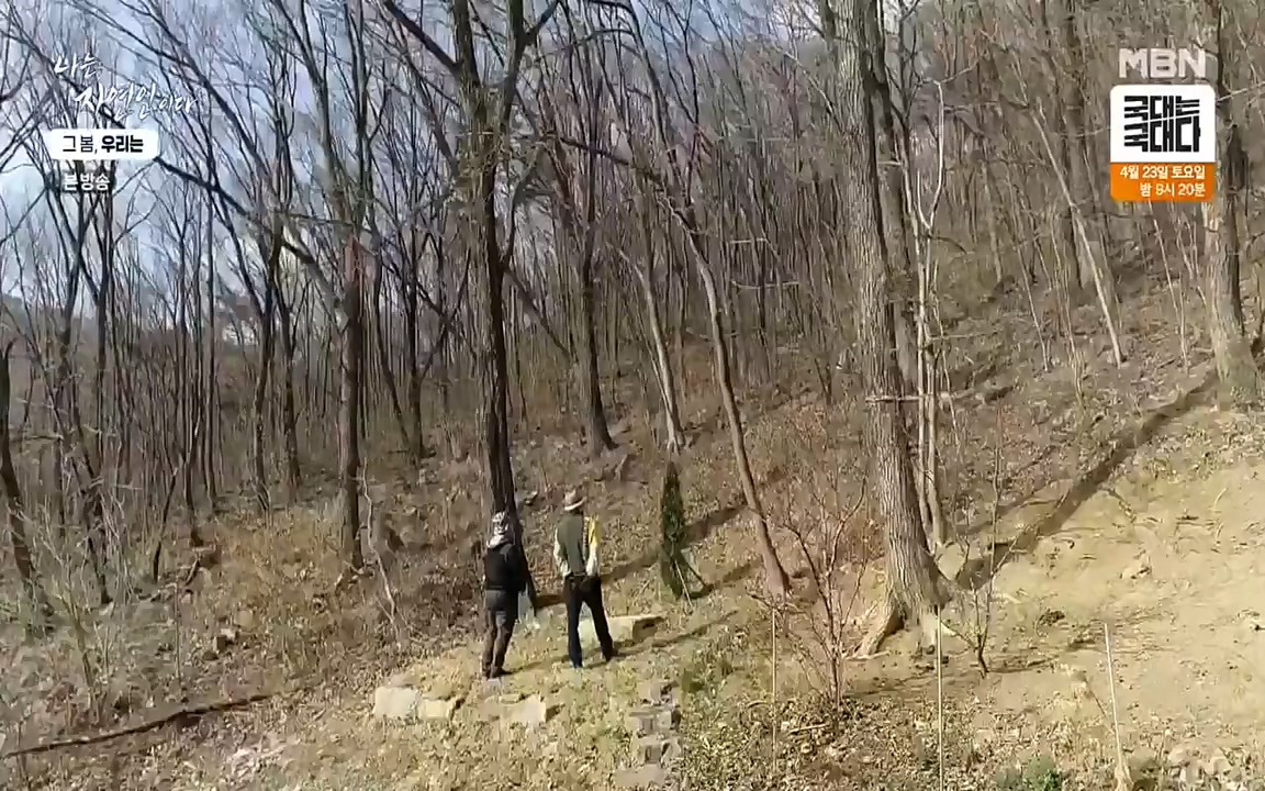 나는 자연인이다.E498.220421p-NEXT.mp4_20220421_184053.913.jpg