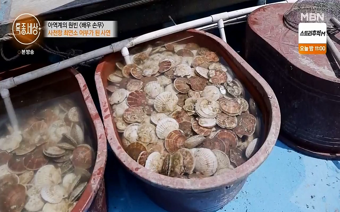 현장르포 특종세상.E530.220513p-NEXT.mp4_20220514_184537.354.jpg