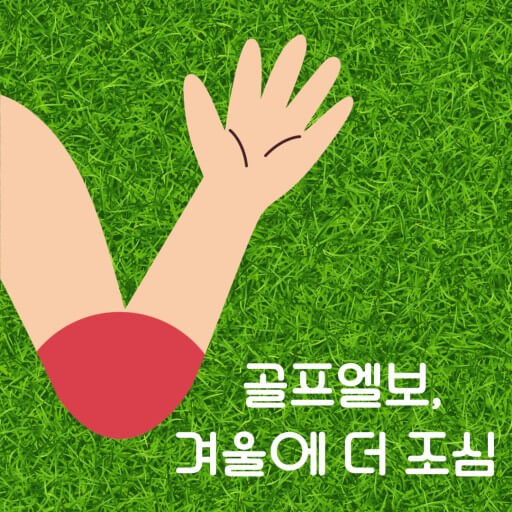 앨보 조심