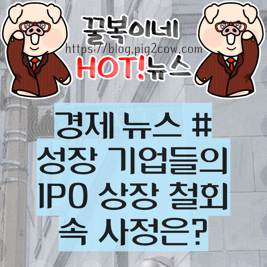  성장 기업들의 잇따른 IPO 상장 철회 속 사정은?