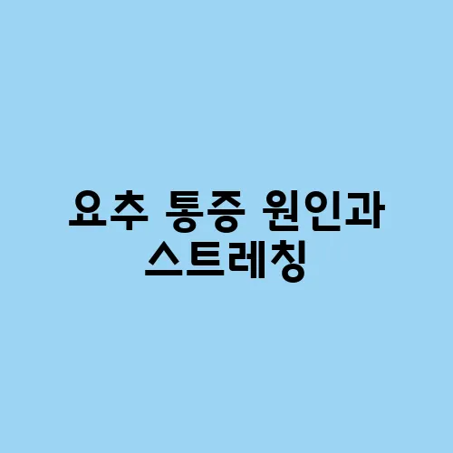 요추 통증 원인과 스트레칭