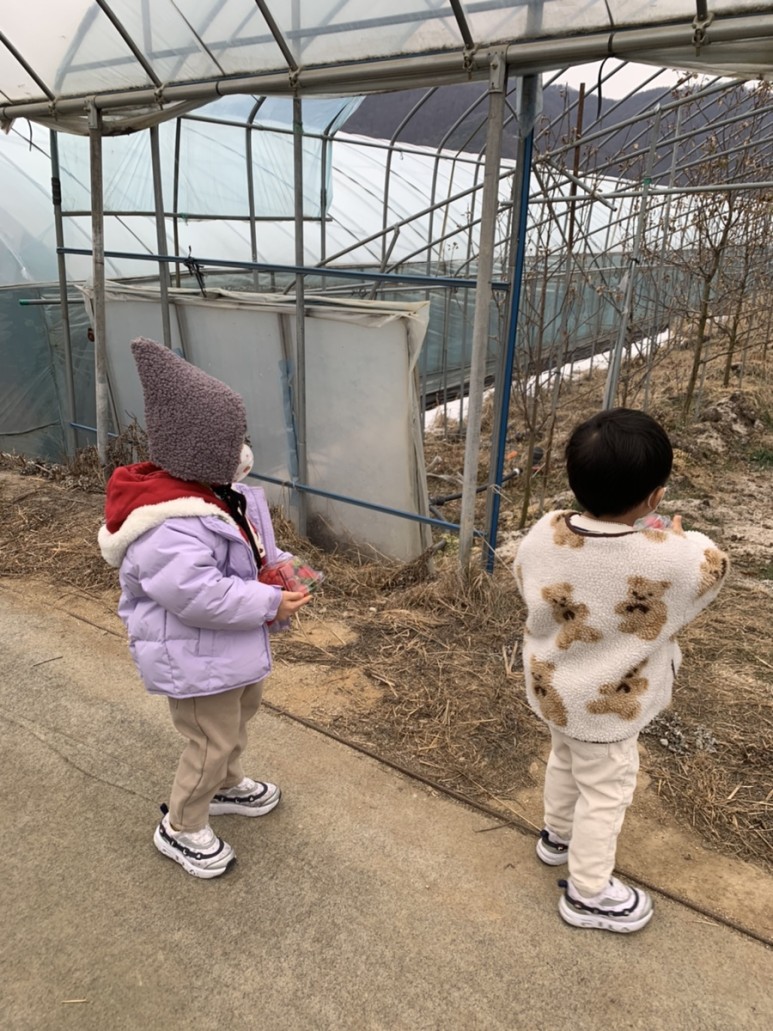 정현딸기농장, 23