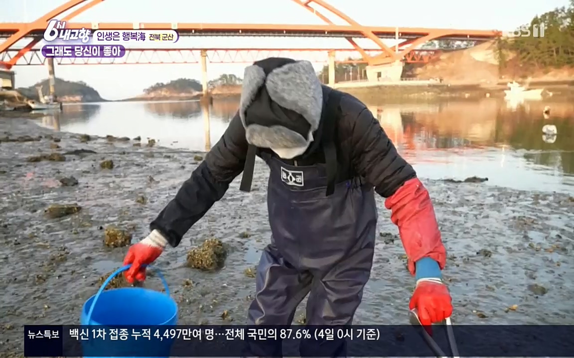 6시 내고향.E7503.220405p.H264-F1RST.mp4_20220405_182927.602.jpg