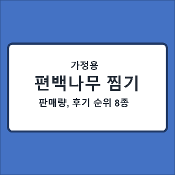  가정용 편백나무찜기 추천 8종 구매량, 후기 순위 - 구매 시 고려할 점