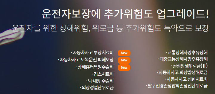 KB손해보험 다이렉트 운전자보험