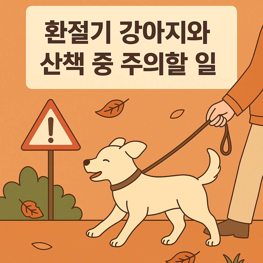 환절기 강아지와 산책중 주의할일