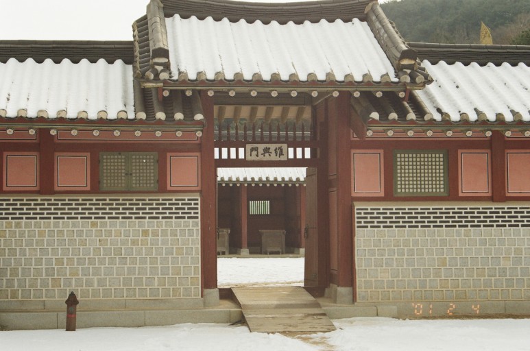 중고 펜탁스 SF7 자동차 필름 카메라 이야기. 결과는 9개월만에 나왔다. 12