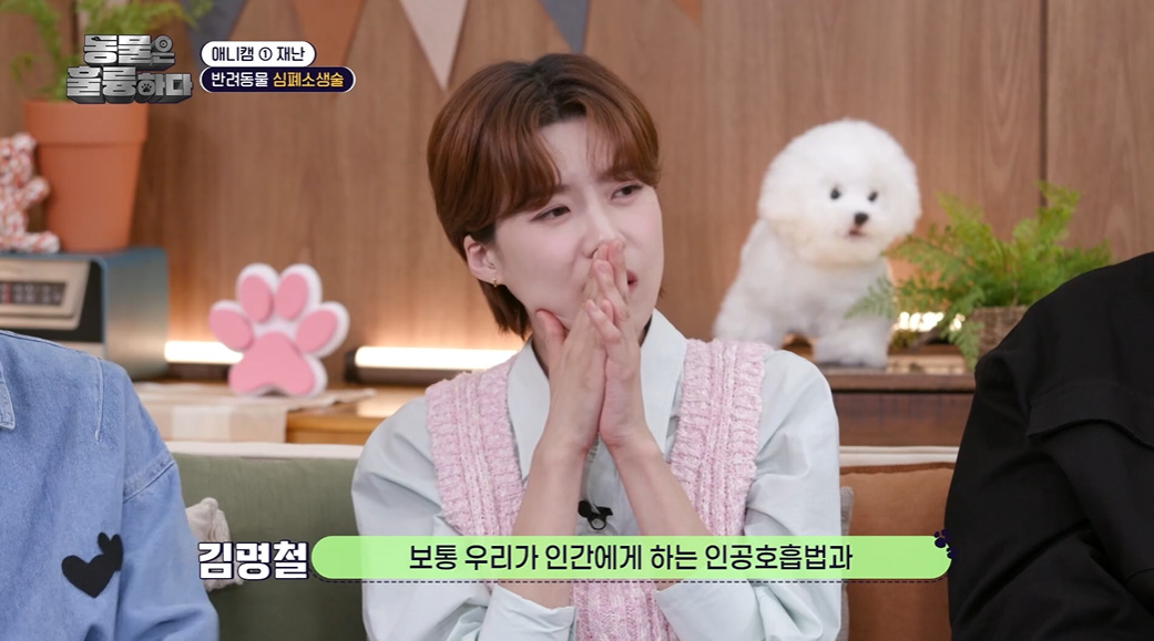 반려인들은 알아두면 좋을 만한 정보들...jpg | 인스티즈