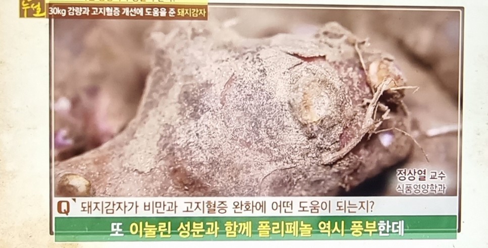 활성산소 정상수치 혈당정상수치 3