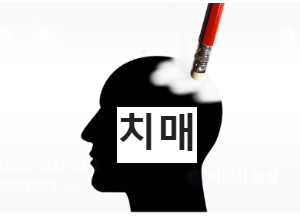 치매 두려운 현대인의 병 치매의 이해와 예방 우리가 알아야 할 모든 것