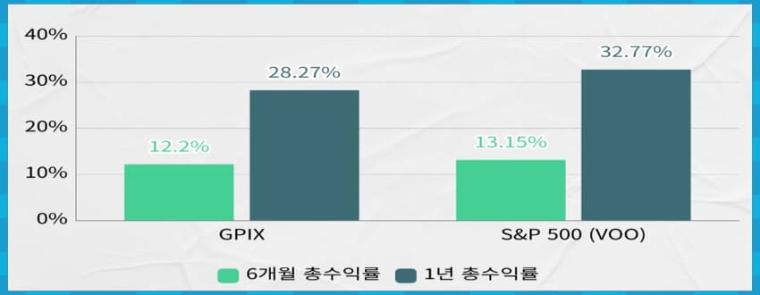 수익률 비교