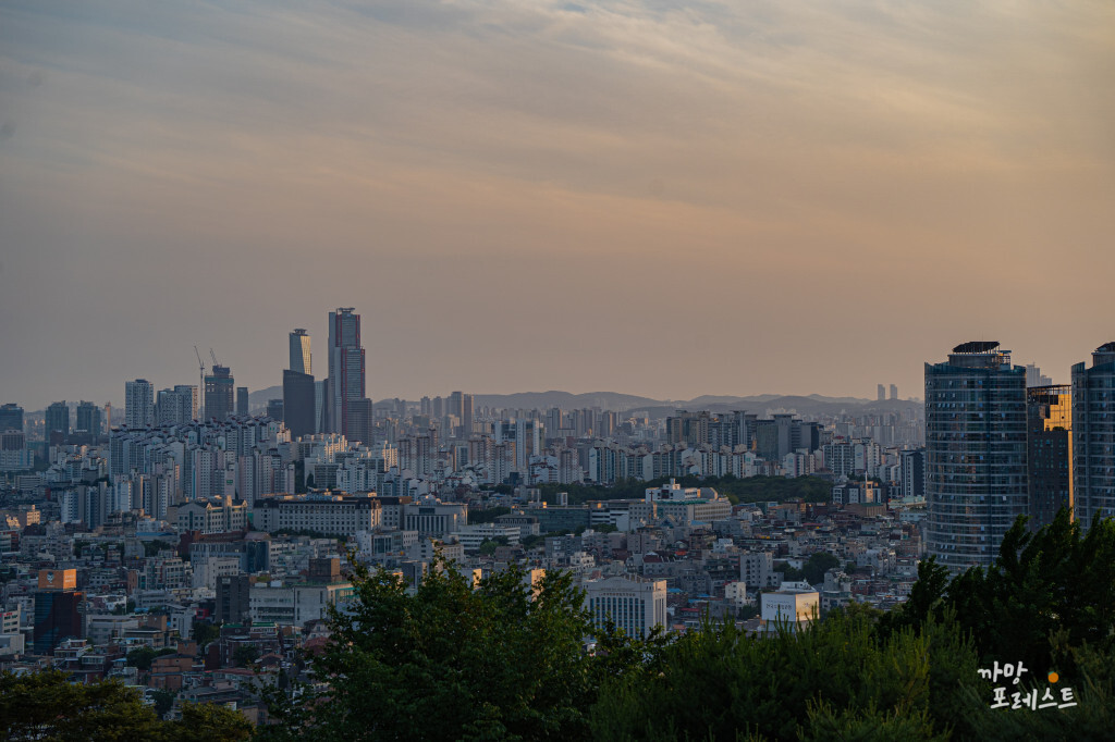 남산타워에서 바라본 서울 풍경