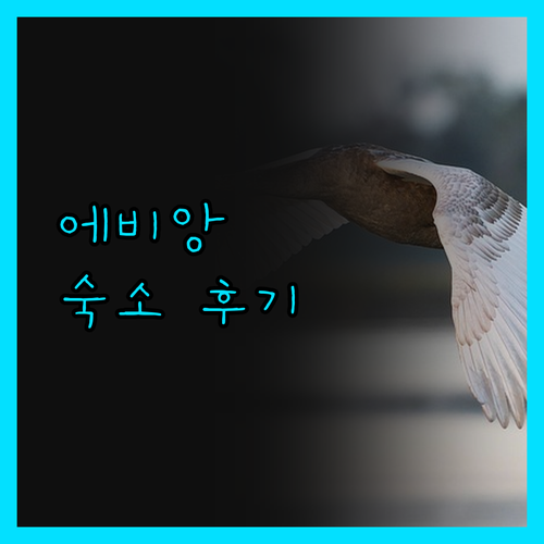 에비앙 여행 숙소 고민 끝 Zenit