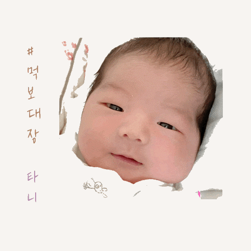 산후조리, 아기사진보정 앱 polarr 제왕절개 출산 5일째 퇴원, 집에서 10