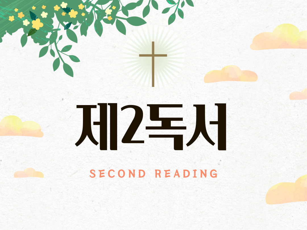 매일미사 제2독서 (Second Reading)