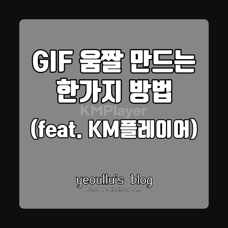  KM플레이어로 움직이는 짤, 움짤 GIF 만드는법