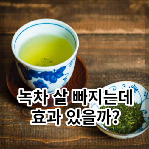 녹차 살 빠지는데 효과 있을까?