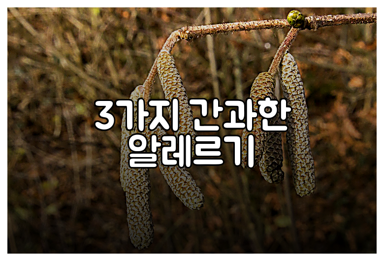 3가지 간과한 알레르기