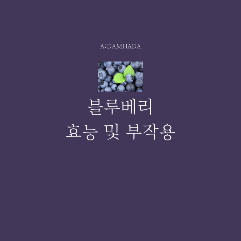 칼로리와 부작용, 블루베리 효과 4