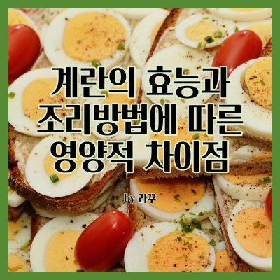 계란의-효능과-조리방법에-따른-영양적-차이점