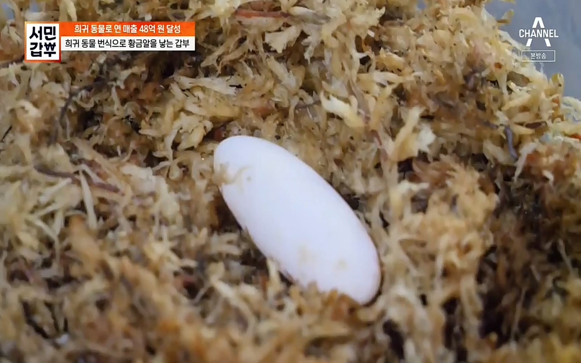 서민 갑부.E381.220431p-NEXT.mp4_20220501_180341.537.jpg