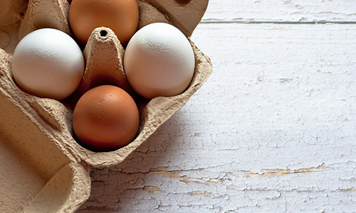 기억력을 향상시키는 음식 