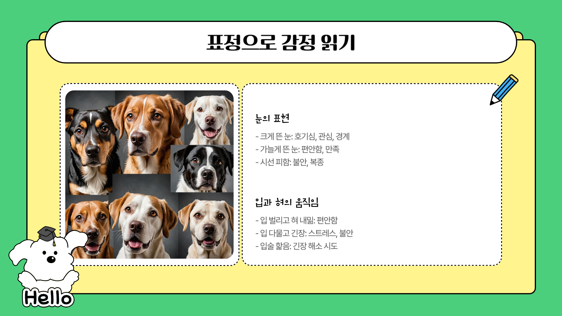 강아지의 행동 언어
