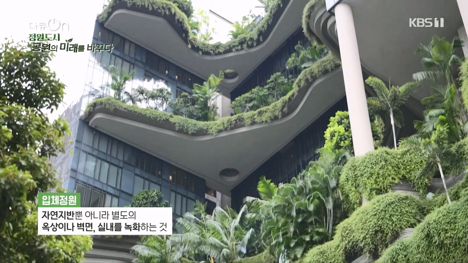 다큐 On.E230.231209p.H264-F1RST.mp4_20231211_195126.602.jpg