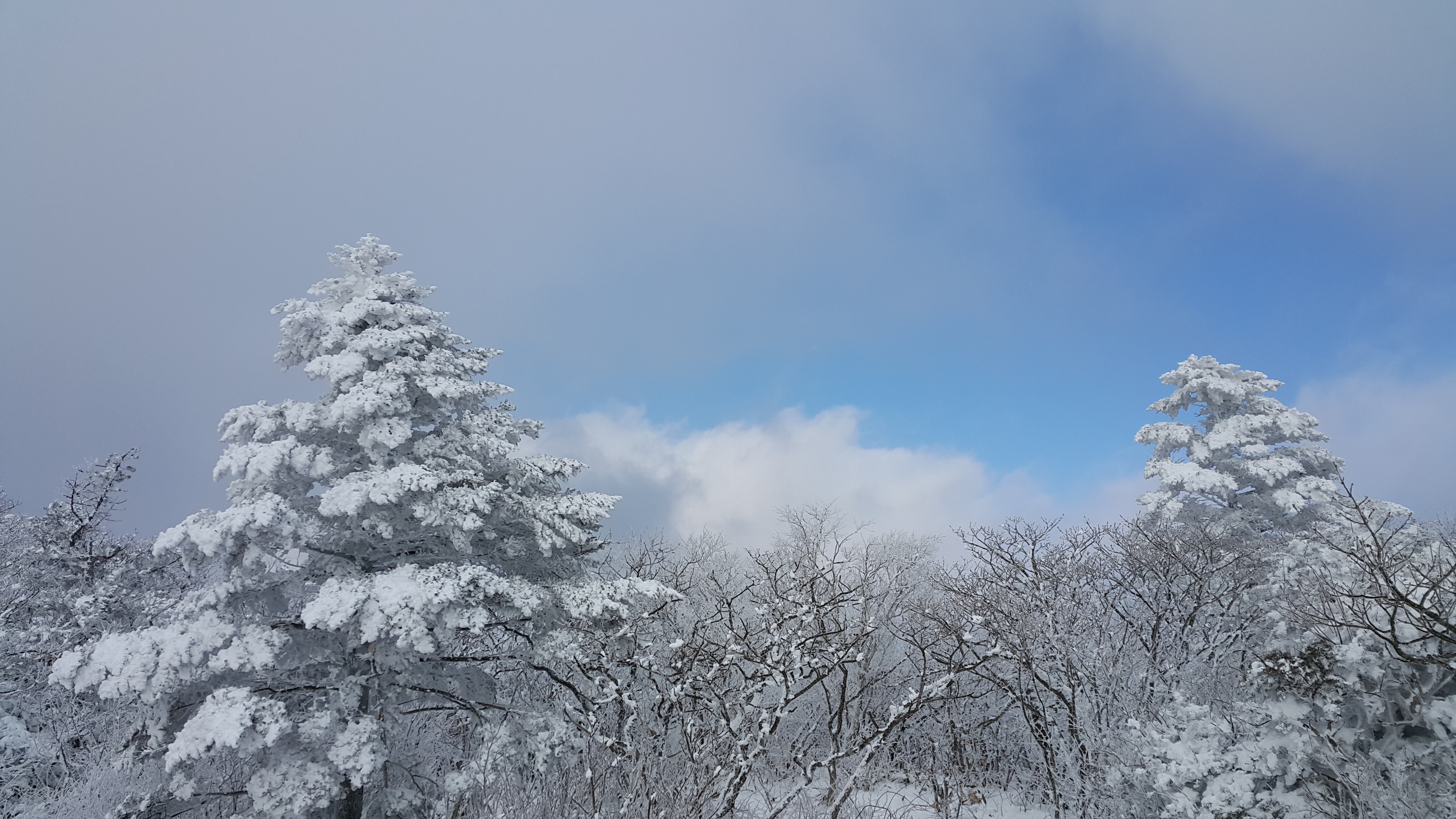 겨울산행