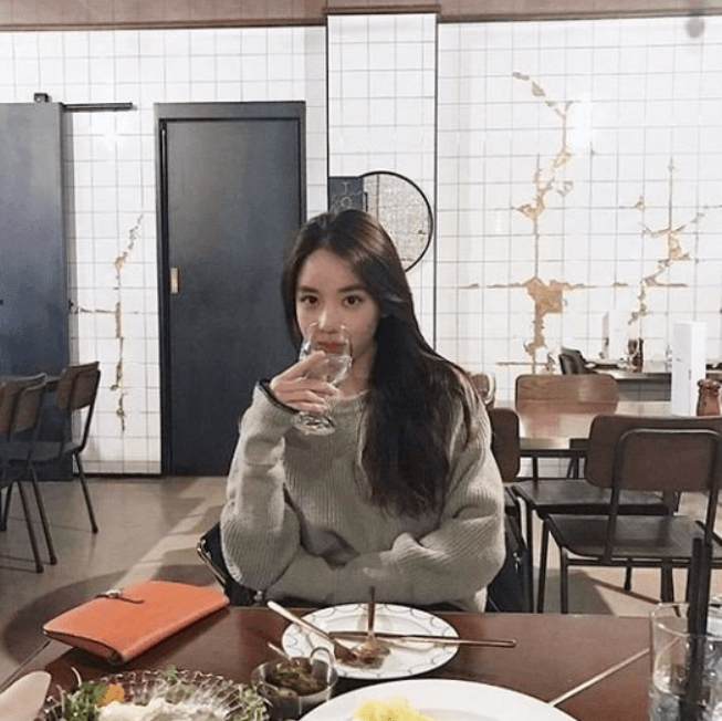  한서희 프로필 인스타그램  정다은 유아인