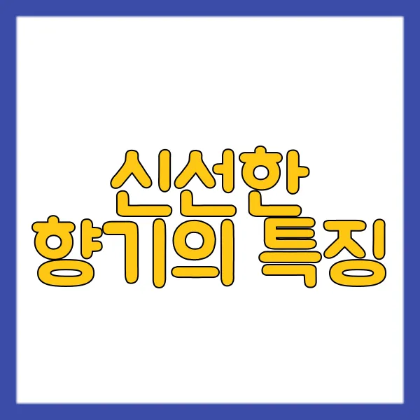img.webp
