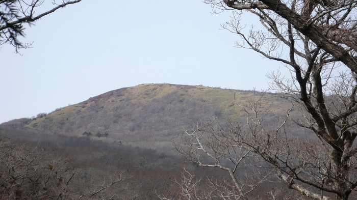 산67번지 이미지