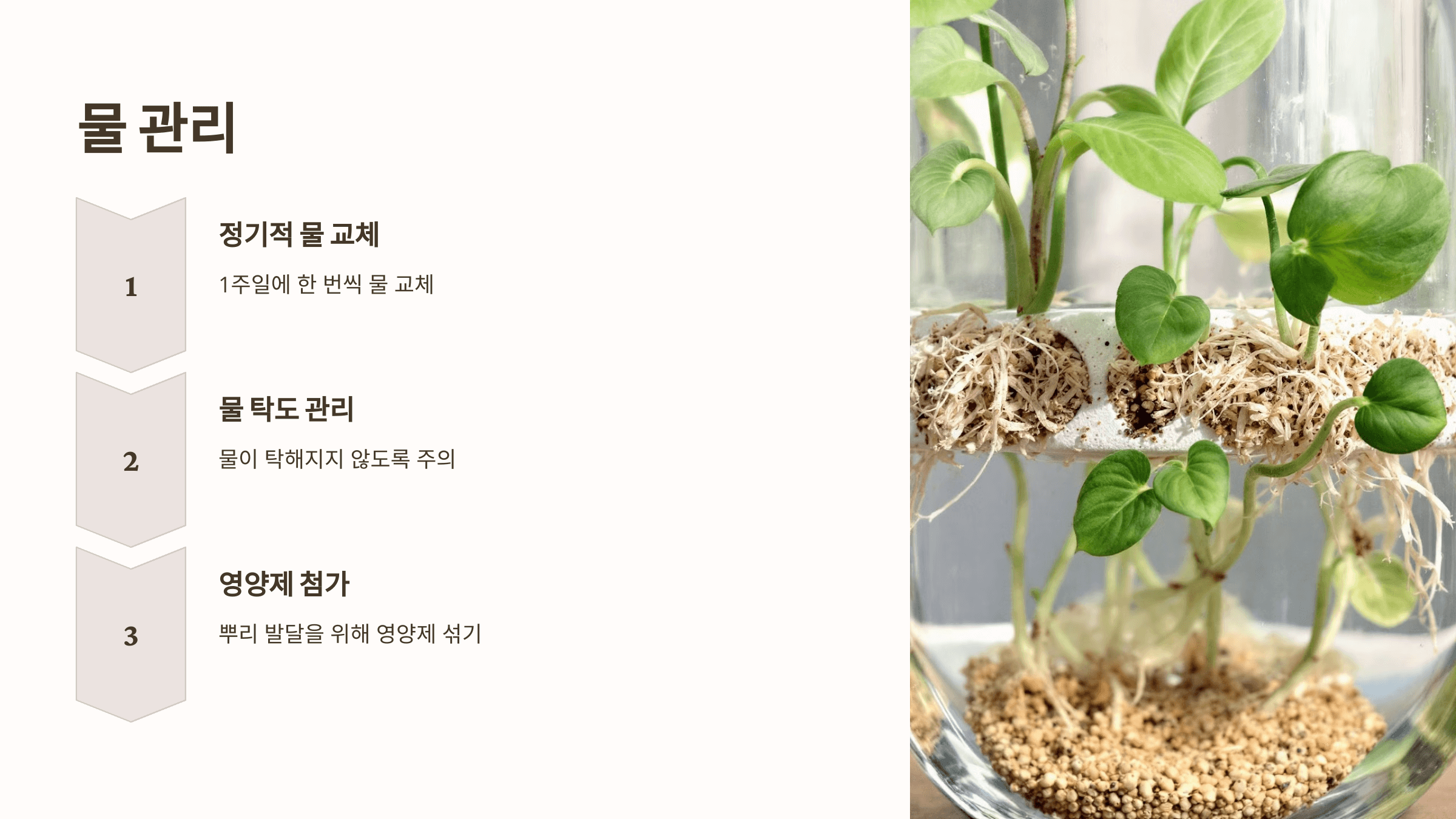 스파티필름과 관련된 사진입니다.