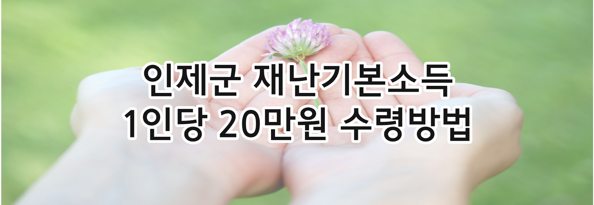  인제군 재난기본소득 20만원 신청하고 수령하는방법