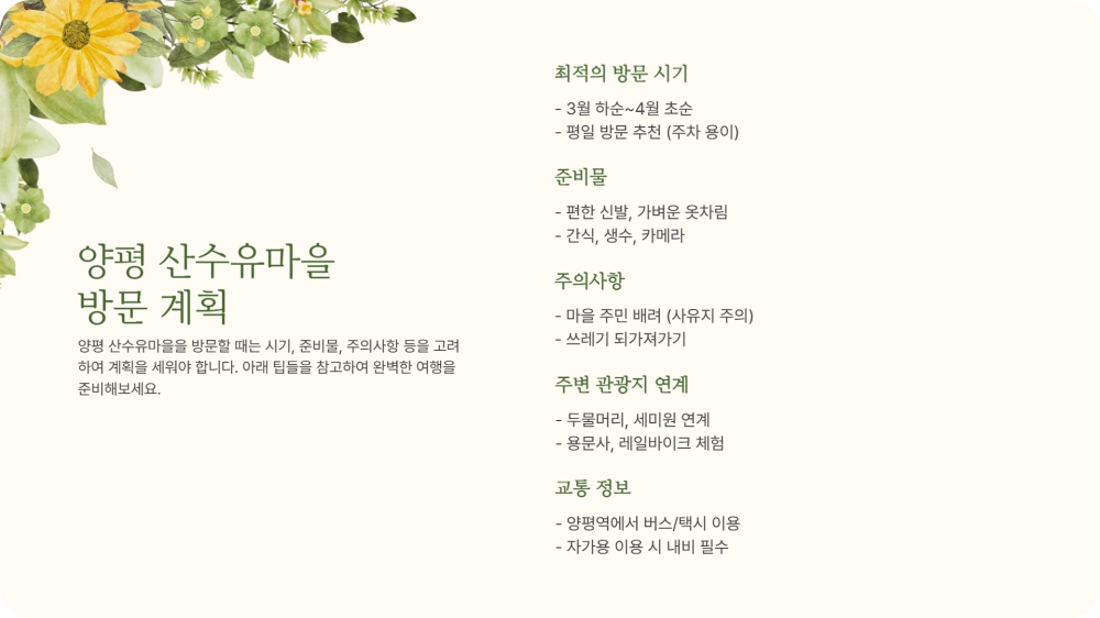양평 산수유마을 축제 개화시기 및 주차장