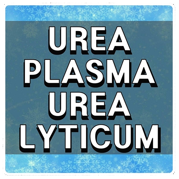  UREAPLASMAUREALYTICUM 원인과 증상 정리