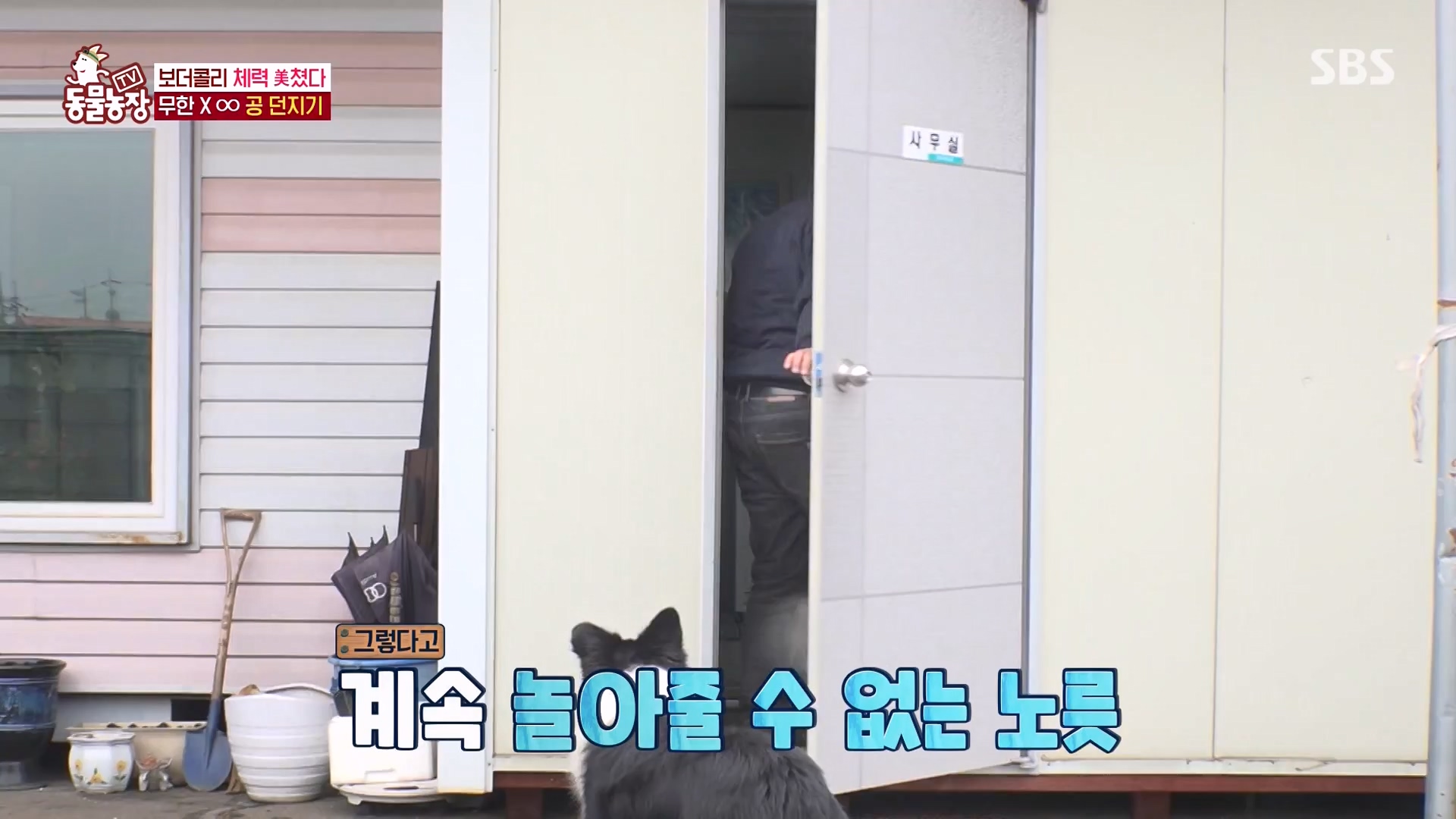 TV 동물농장.E1161.240303p-NEXT.mp4_20240303_172253.458.jpg