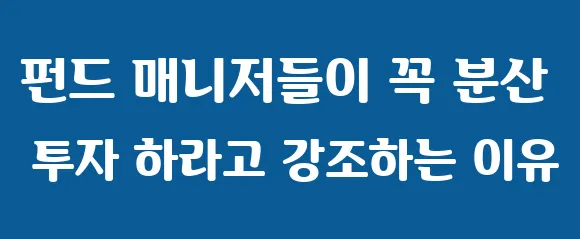 펀드 매니저들이 꼭 분산 투자 하라고 강조하는 이유