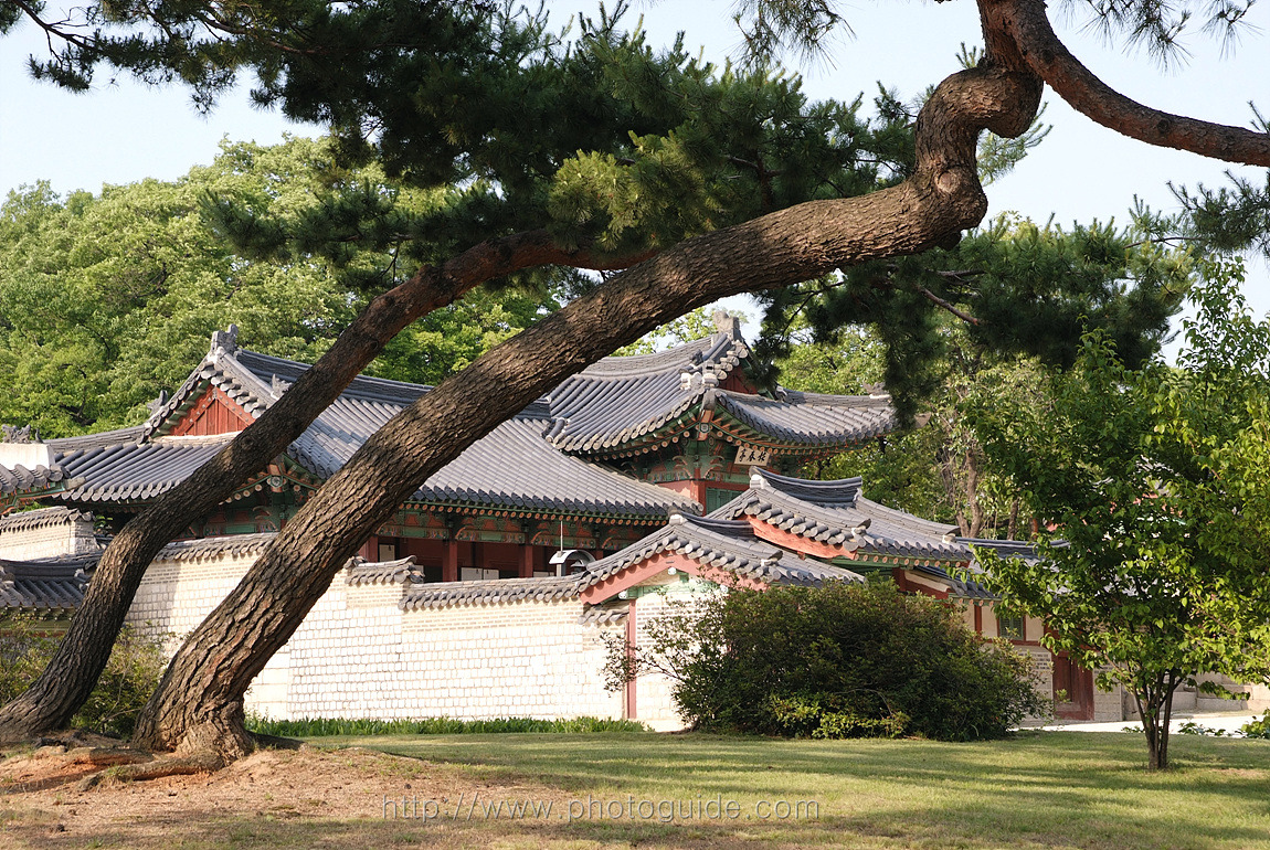 창덕궁 Changdeokgung Palace