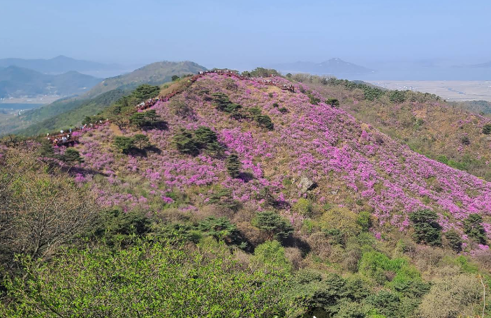 고려산 (강화)