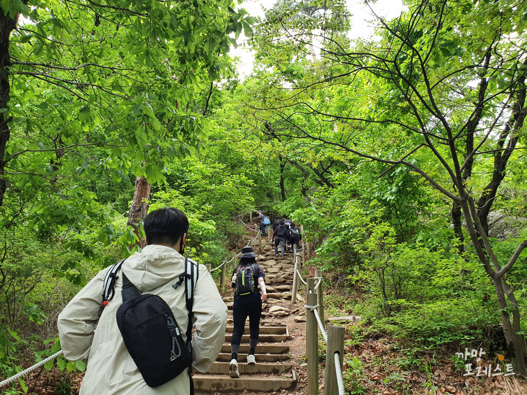 청계산 계단