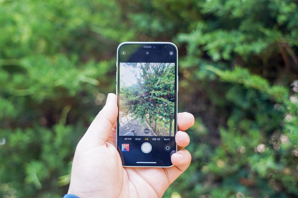 가격, 컬러가 고민이라면? 실전 꿀팁! 아이폰 12 미니 vs Pro 7