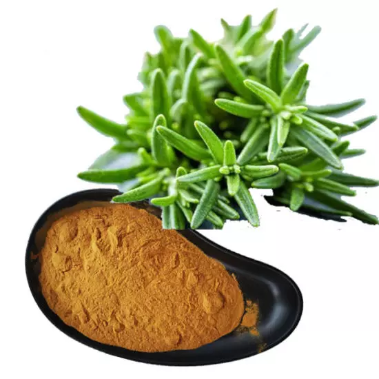  카르노산(Carnosic acid) 대사 활성화!! 에너지 생산과 신진대사 촉진!