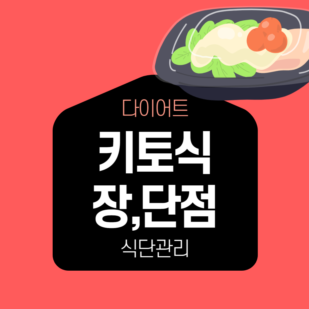 키토식장단점