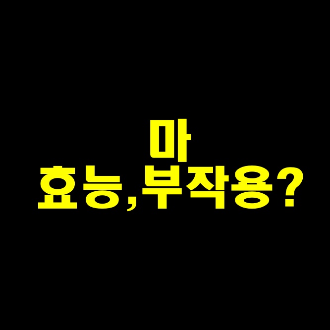  마 효능, 마 부작용, 마 섭취방법 마에 대한 모든것