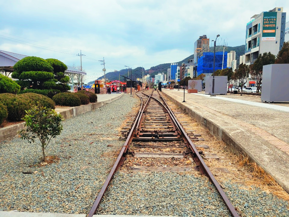 부산 송정해수욕장 서핑부산 송정해수욕장 서핑구경하며 16