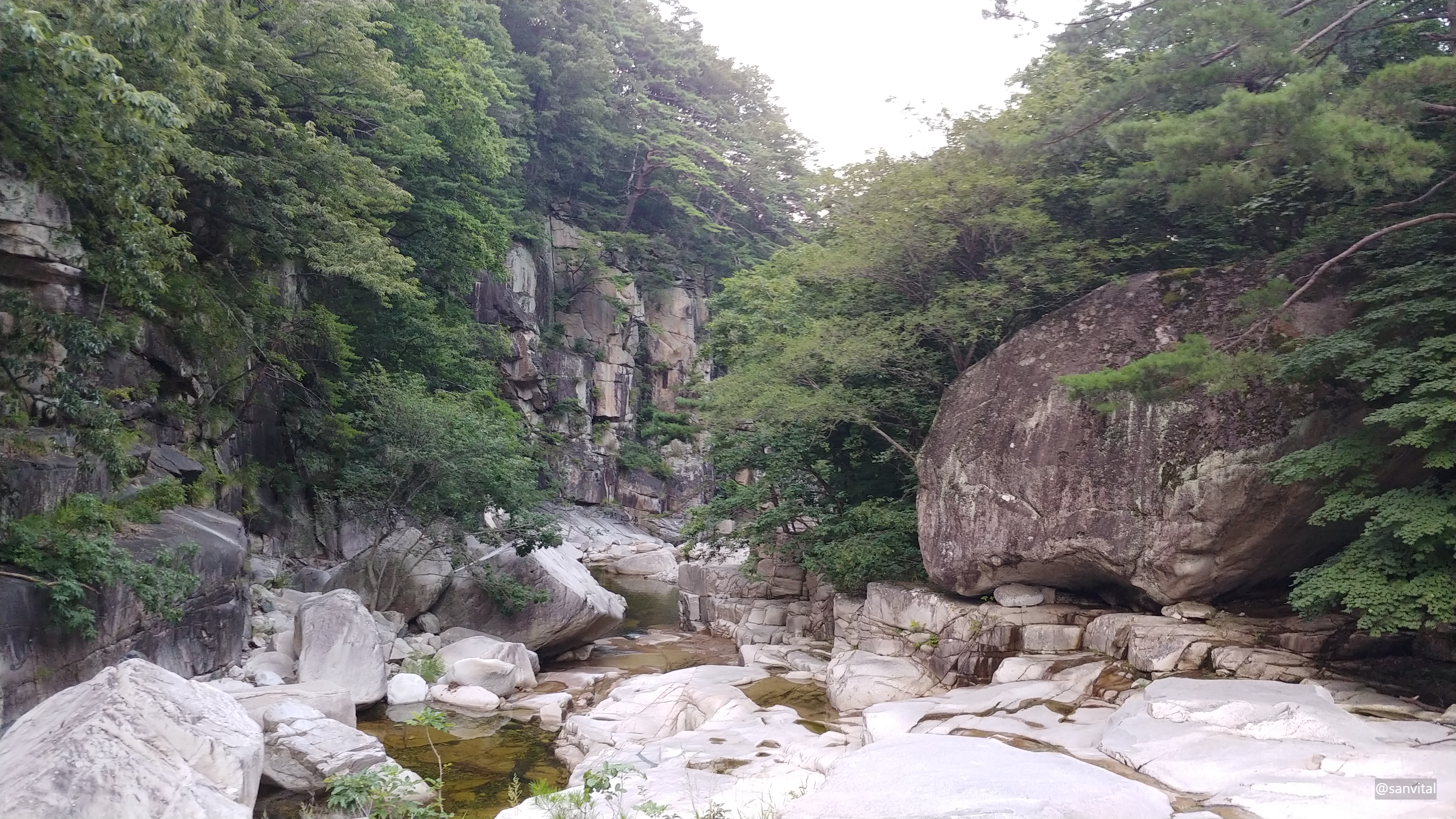 동해 무릉계곡