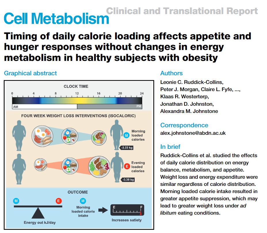 저녁밥 폭식, 다 살로 가는 것이 아니다!
