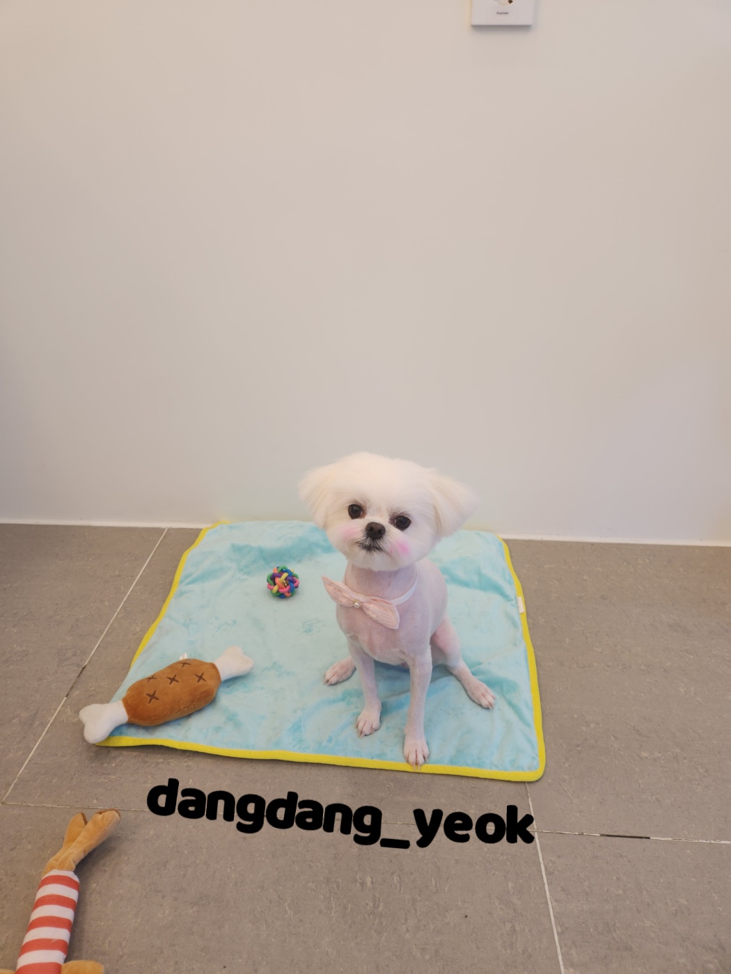 연두미용실 이미지